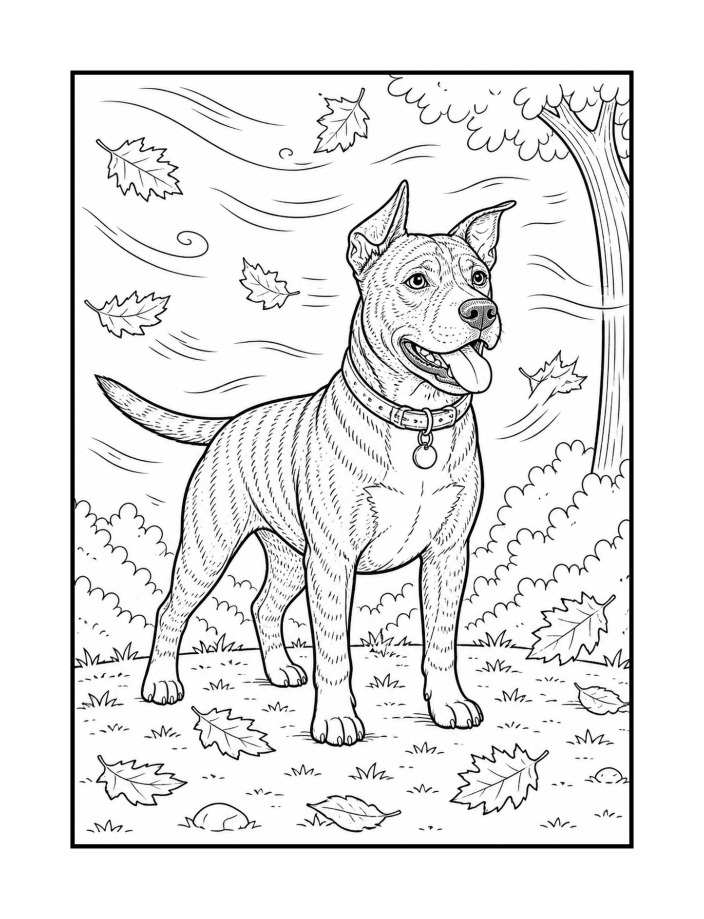 Into The Woods With Kaia - Coloring and Activity Book - SalsaHippo